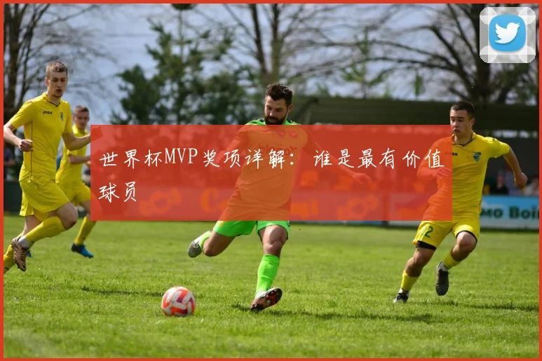 世界杯MVP奖项详解：谁是最有价值球员