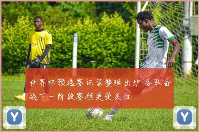 世界杯预选赛记录整理出炉 各队备战下一阶段赛程更受关注