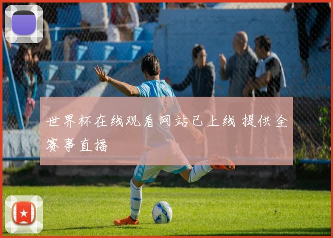 世界杯在线观看网站已上线 提供全赛事直播